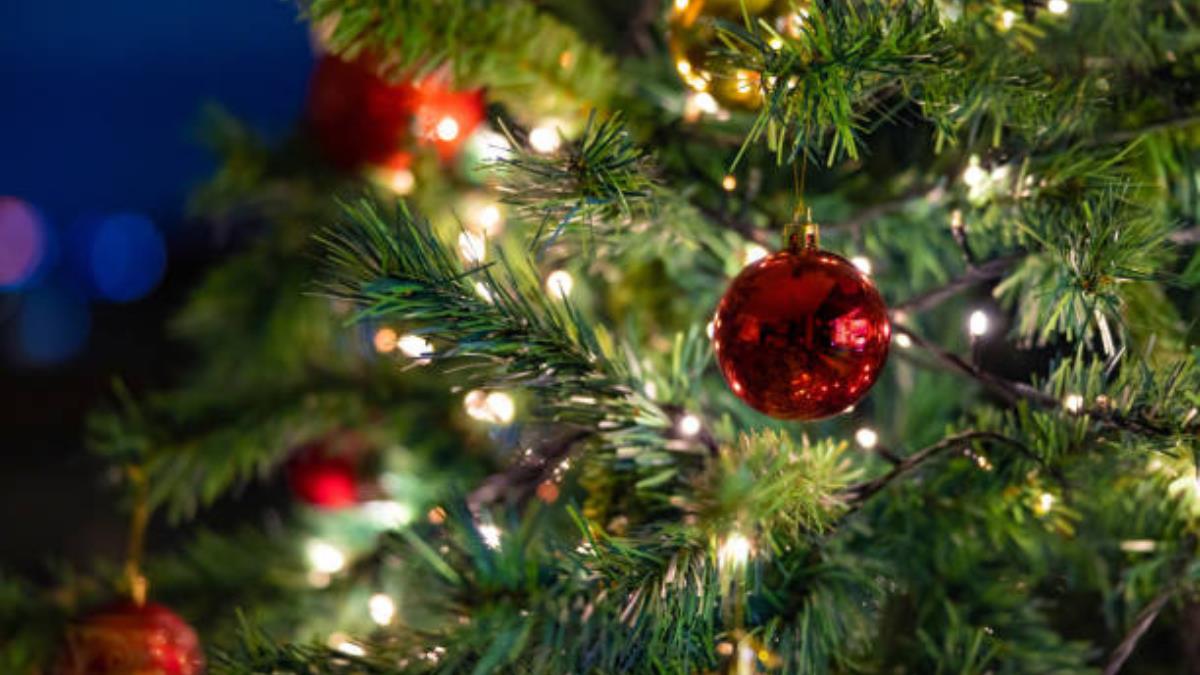 Ni adornos ni guirnaldas: lo que debes colocar en tu árbol de Navidad para atraer suerte y dinero